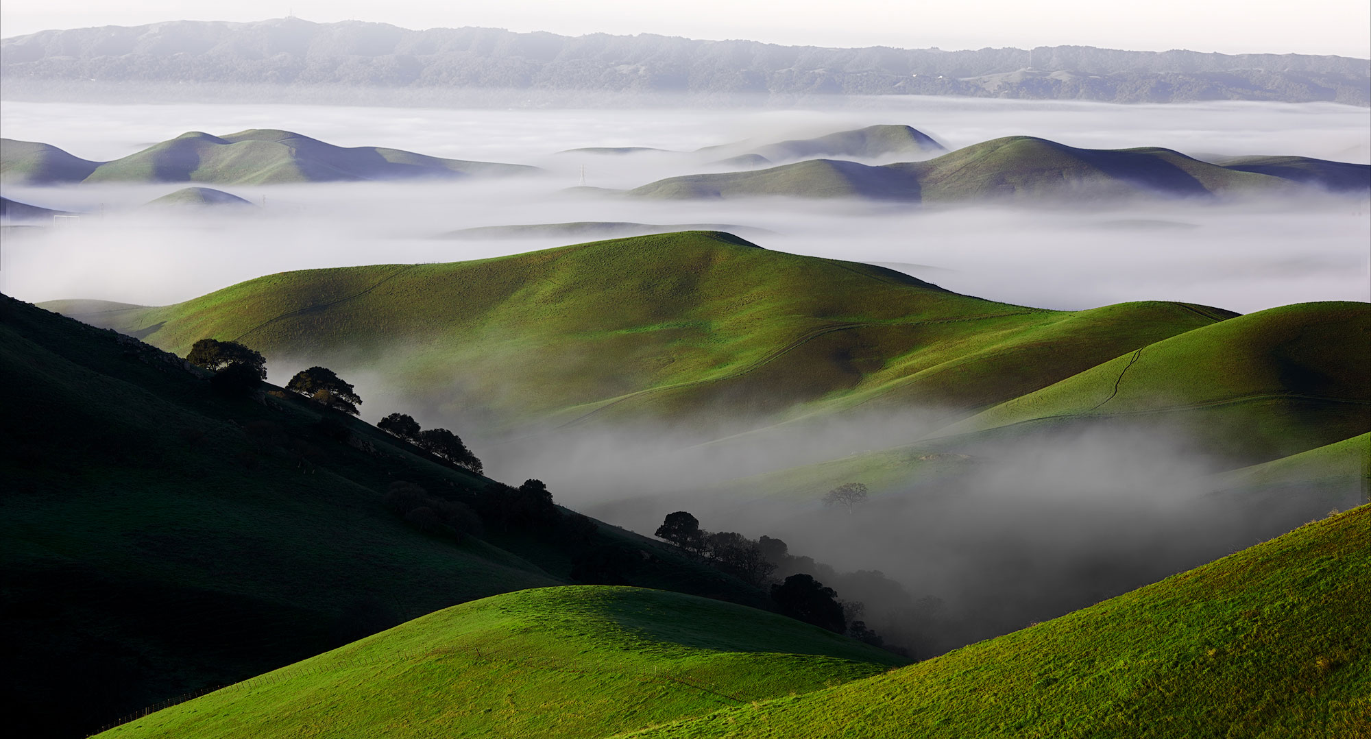 Decorative image with text: A fresh vision for partnering across the UC system in the national interest